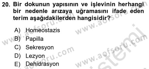 Fiziksel Rehabilitasyon Dersi 2021 - 2022 Yılı (Final) Dönem Sonu Sınav Soruları 20. Soru