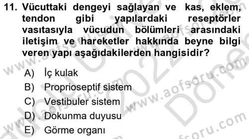 Fiziksel Rehabilitasyon Dersi 2022 - 2023 Yılı (Final) Dönem Sonu Sınav Soruları 11. Soru