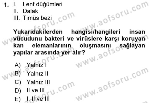 Fiziksel Rehabilitasyon Dersi 2022 - 2023 Yılı Yaz Okulu Sınav Soruları 1. Soru