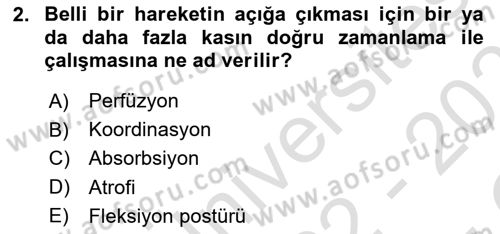 Fiziksel Rehabilitasyon Dersi 2022 - 2023 Yılı Yaz Okulu Sınav Soruları 2. Soru
