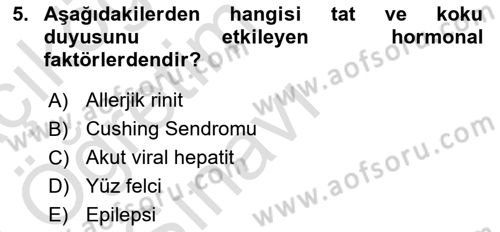 Fiziksel Rehabilitasyon Dersi 2022 - 2023 Yılı Yaz Okulu Sınav Soruları 5. Soru