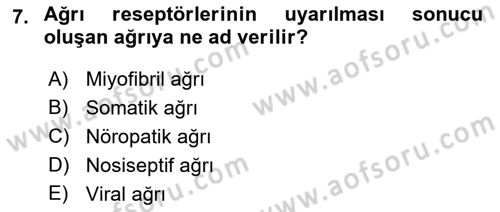 Fiziksel Rehabilitasyon Dersi 2022 - 2023 Yılı Yaz Okulu Sınav Soruları 7. Soru
