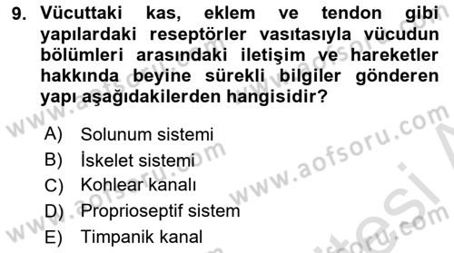 Fiziksel Rehabilitasyon Dersi 2023 - 2024 Yılı (Final) Dönem Sonu Sınav Soruları 9. Soru