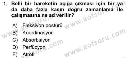 Fiziksel Rehabilitasyon Dersi 2023 - 2024 Yılı Yaz Okulu Sınav Soruları 1. Soru