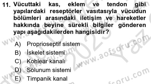 Fiziksel Rehabilitasyon Dersi 2023 - 2024 Yılı Yaz Okulu Sınavı 11. Soru