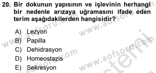 Fiziksel Rehabilitasyon Dersi 2023 - 2024 Yılı Yaz Okulu Sınavı 20. Soru