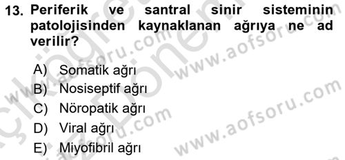 Fiziksel Rehabilitasyon Dersi 2024 - 2025 Yılı (Vize) Ara Sınav Soruları 13. Soru