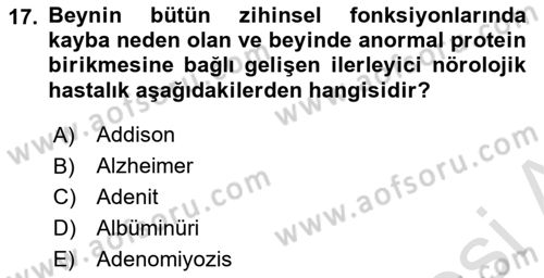 Fiziksel Rehabilitasyon Dersi 2024 - 2025 Yılı (Vize) Ara Sınav Soruları 17. Soru