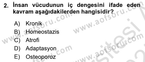 Fiziksel Rehabilitasyon Dersi 2024 - 2025 Yılı (Vize) Ara Sınav Soruları 2. Soru