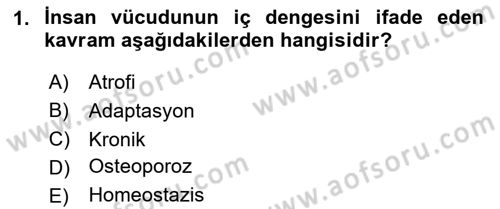 Fiziksel Rehabilitasyon Dersi 2024 - 2025 Yılı (Final) Dönem Sonu Sınav Soruları 1. Soru