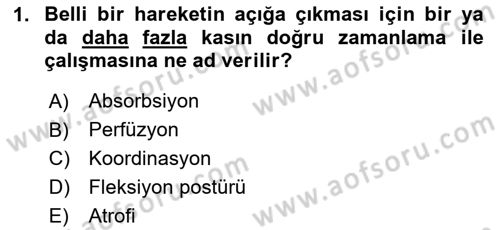 Fiziksel Rehabilitasyon Dersi 2024 - 2025 Yılı Yaz Okulu Sınav Soruları 1. Soru