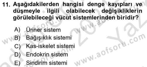 Fiziksel Rehabilitasyon Dersi 2024 - 2025 Yılı Yaz Okulu Sınav Soruları 11. Soru