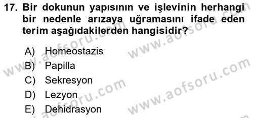 Fiziksel Rehabilitasyon Dersi 2024 - 2025 Yılı Yaz Okulu Sınav Soruları 17. Soru