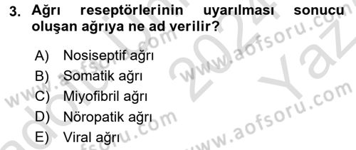 Fiziksel Rehabilitasyon Dersi 2024 - 2025 Yılı Yaz Okulu Sınav Soruları 3. Soru