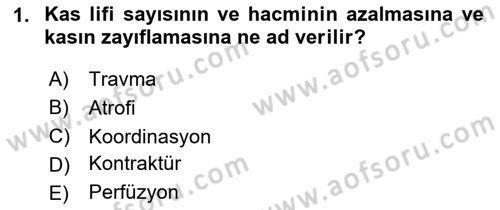 Fiziksel Rehabilitasyon Dersi 2025 - 2026 Yılı (Vize) Ara Sınav Soruları 1. Soru