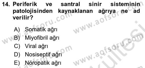 Fiziksel Rehabilitasyon Dersi 2025 - 2026 Yılı (Vize) Ara Sınav Soruları 14. Soru