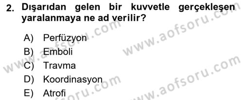 Fiziksel Rehabilitasyon Dersi 2025 - 2026 Yılı (Vize) Ara Sınav Soruları 2. Soru