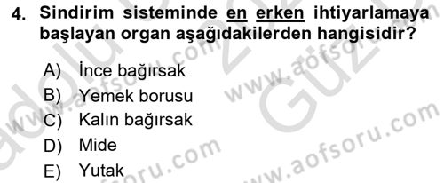Fiziksel Rehabilitasyon Dersi 2025 - 2026 Yılı (Vize) Ara Sınav Soruları 4. Soru