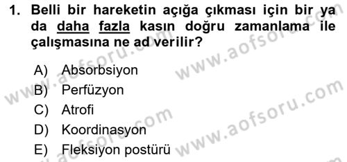 Fiziksel Rehabilitasyon Dersi 2025 - 2026 Yılı (Final) Dönem Sonu Sınav Soruları 1. Soru