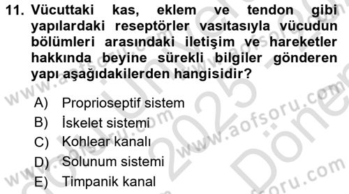 Fiziksel Rehabilitasyon Dersi 2025 - 2026 Yılı (Final) Dönem Sonu Sınav Soruları 11. Soru