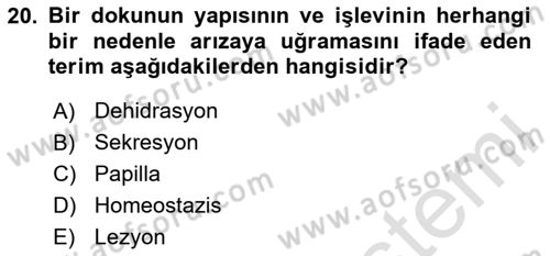 Fiziksel Rehabilitasyon Dersi 2025 - 2026 Yılı (Final) Dönem Sonu Sınav Soruları 20. Soru