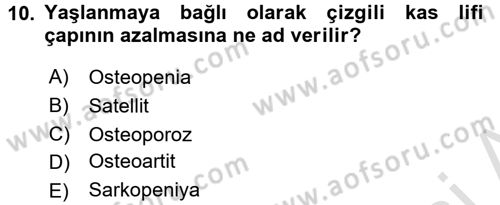 Temel Gerontoloji Dersi 2016 - 2017 Yılı (Vize) Ara Sınav Soruları 10. Soru