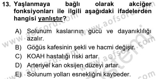 Temel Gerontoloji Dersi 2016 - 2017 Yılı (Vize) Ara Sınav Soruları 13. Soru