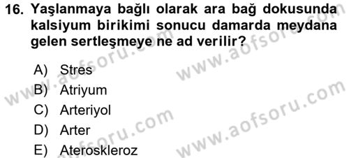 Temel Gerontoloji Dersi 2016 - 2017 Yılı (Vize) Ara Sınav Soruları 16. Soru