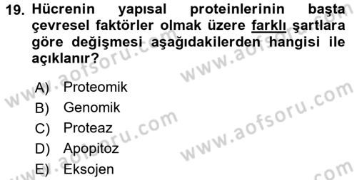 Temel Gerontoloji Dersi 2016 - 2017 Yılı (Vize) Ara Sınav Soruları 19. Soru