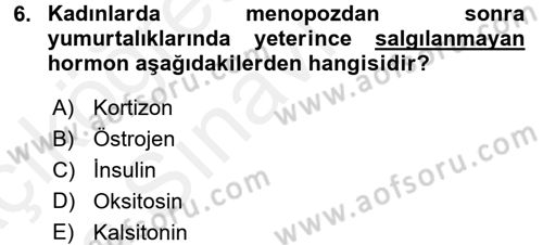 Temel Gerontoloji Dersi 2017 - 2018 Yılı 3 Ders Sınav Soruları 6. Soru