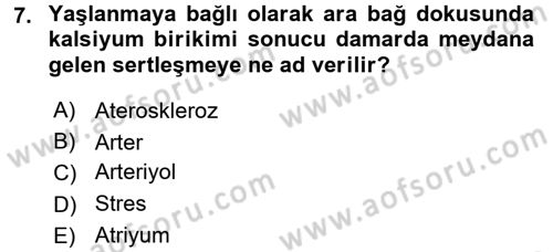 Temel Gerontoloji Dersi 2017 - 2018 Yılı 3 Ders Sınav Soruları 7. Soru