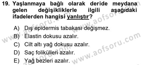 Temel Gerontoloji Dersi 2017 - 2018 Yılı (Vize) Ara Sınavı 19. Soru