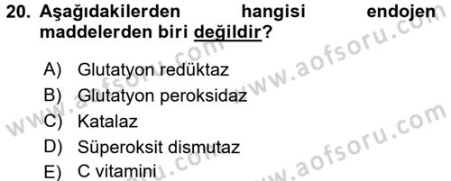 Temel Gerontoloji Dersi 2017 - 2018 Yılı (Vize) Ara Sınavı 20. Soru