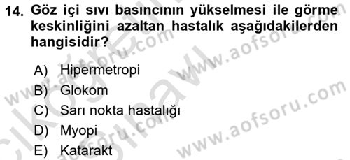 Temel Gerontoloji Dersi 2018 - 2019 Yılı 3 Ders Sınavı 14. Soru