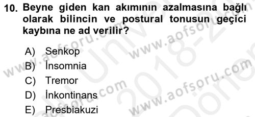Temel Gerontoloji Dersi 2018 - 2019 Yılı (Final) Dönem Sonu Sınav Soruları 10. Soru