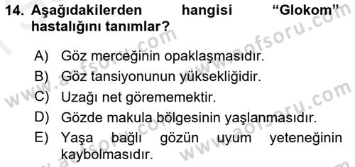 Temel Gerontoloji Dersi 2018 - 2019 Yılı (Final) Dönem Sonu Sınav Soruları 14. Soru