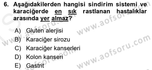 Temel Gerontoloji Dersi 2018 - 2019 Yılı (Final) Dönem Sonu Sınav Soruları 6. Soru