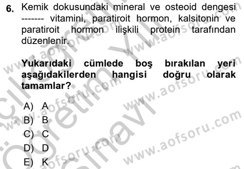 Temel Gerontoloji Dersi 2018 - 2019 Yılı Yaz Okulu Sınav Soruları 6. Soru