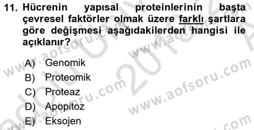 Temel Gerontoloji Dersi 2019 - 2020 Yılı (Vize) Ara Sınav Soruları 11. Soru
