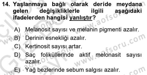 Temel Gerontoloji Dersi 2019 - 2020 Yılı (Vize) Ara Sınav Soruları 14. Soru