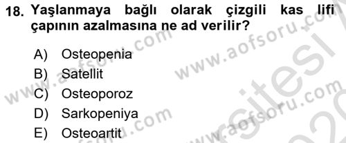 Temel Gerontoloji Dersi 2019 - 2020 Yılı (Vize) Ara Sınav Soruları 18. Soru