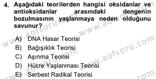 Temel Gerontoloji Dersi 2019 - 2020 Yılı (Vize) Ara Sınav Soruları 4. Soru