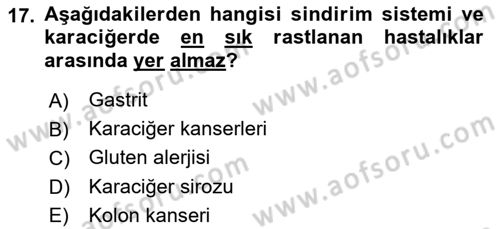 Temel Gerontoloji Dersi 2021 - 2022 Yılı (Vize) Ara Sınav Soruları 17. Soru