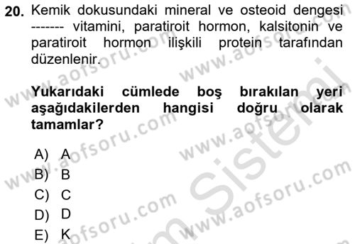 Temel Gerontoloji Dersi 2021 - 2022 Yılı (Vize) Ara Sınav Soruları 20. Soru