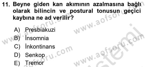 Temel Gerontoloji Dersi 2021 - 2022 Yılı (Final) Dönem Sonu Sınav Soruları 11. Soru