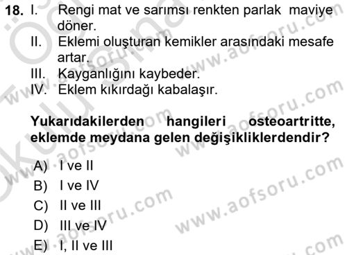 Temel Gerontoloji Dersi 2021 - 2022 Yılı Yaz Okulu Sınav Soruları 18. Soru