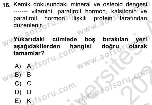 Temel Gerontoloji Dersi 2022 - 2023 Yılı (Vize) Ara Sınav Soruları 16. Soru