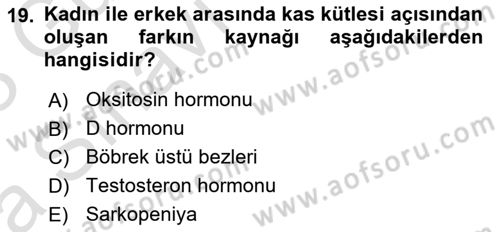 Temel Gerontoloji Dersi 2022 - 2023 Yılı (Vize) Ara Sınav Soruları 19. Soru