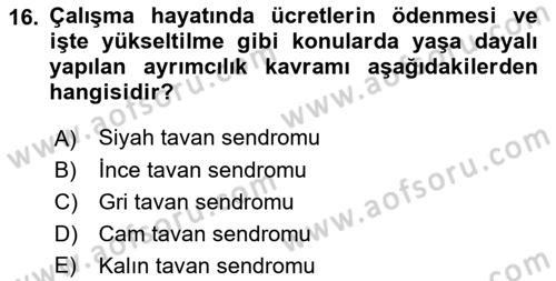 Temel Gerontoloji Dersi 2022 - 2023 Yılı (Final) Dönem Sonu Sınavı 16. Soru