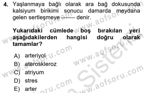 Temel Gerontoloji Dersi 2022 - 2023 Yılı (Final) Dönem Sonu Sınavı 4. Soru